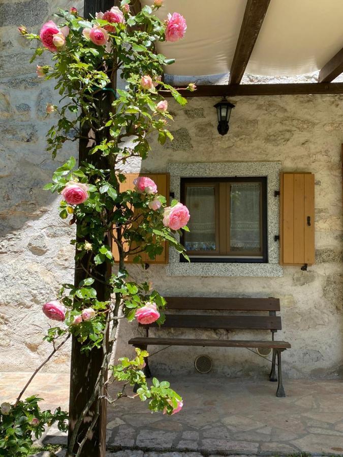 Chalet La Nos Моліна-ді-Ледро Екстер'єр фото